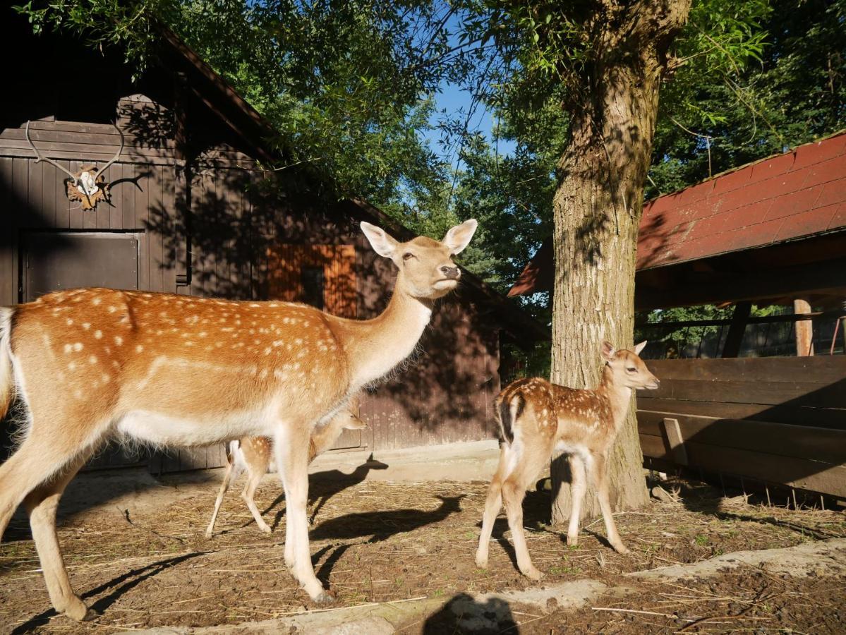 Penzion Obora Prostřední Bečva Exteriér fotografie