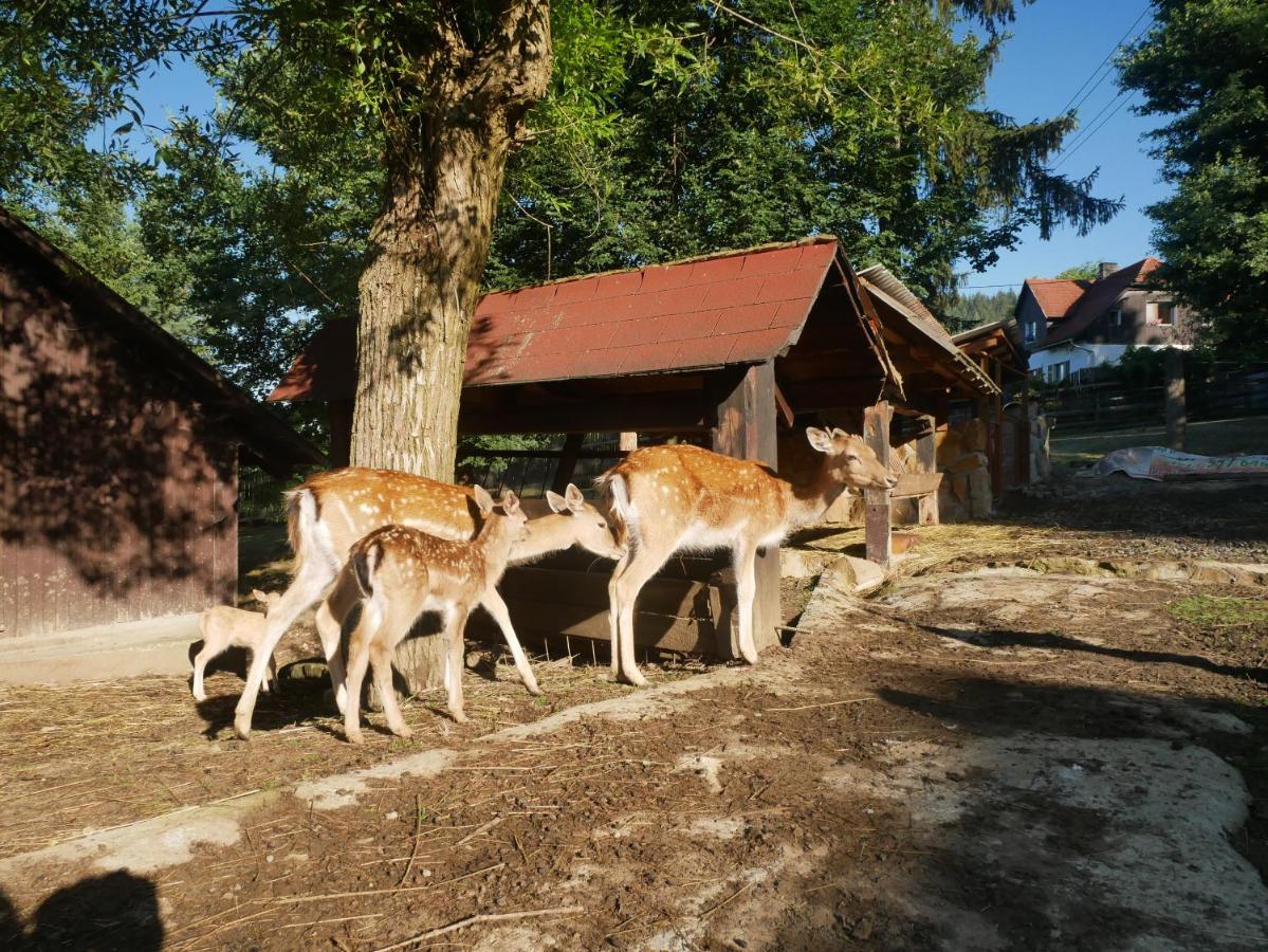 Penzion Obora Prostřední Bečva Exteriér fotografie