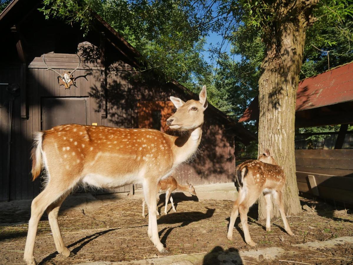 Penzion Obora Prostřední Bečva Exteriér fotografie